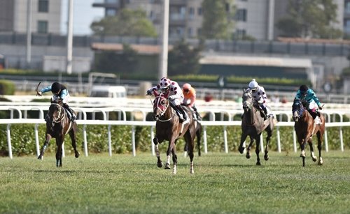 Boğaziçi Koşusu'nda zaferin adı Go Hero